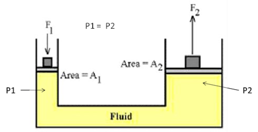 image (3)